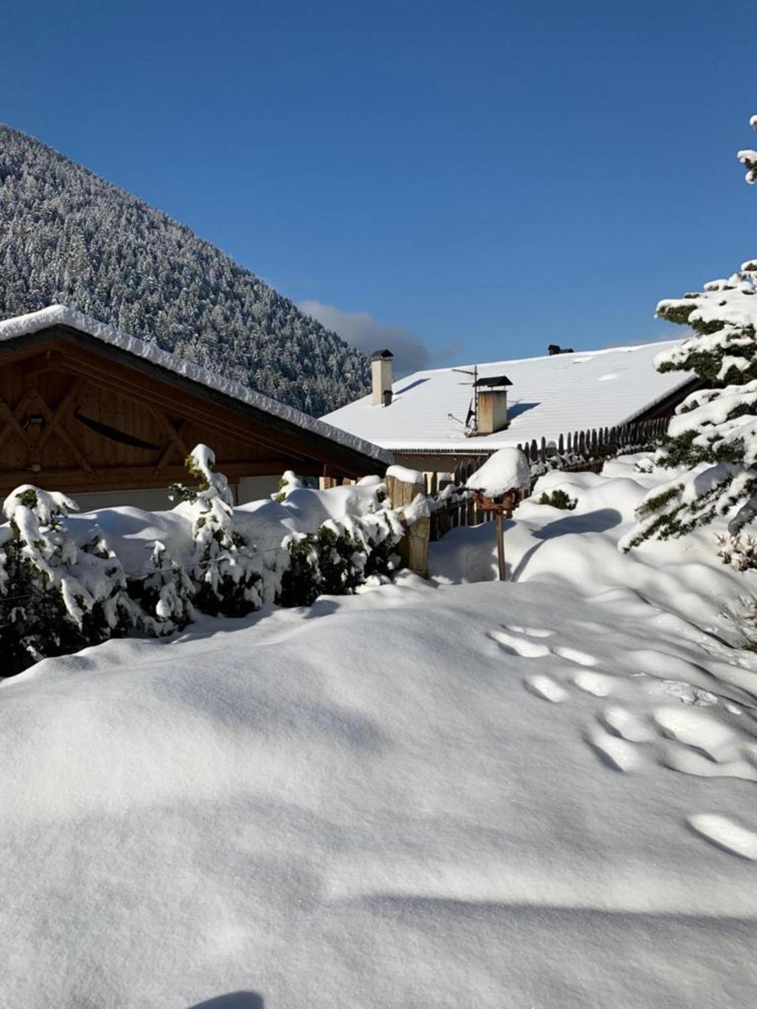 Residence Latemarblick Welschnofen Buitenkant foto